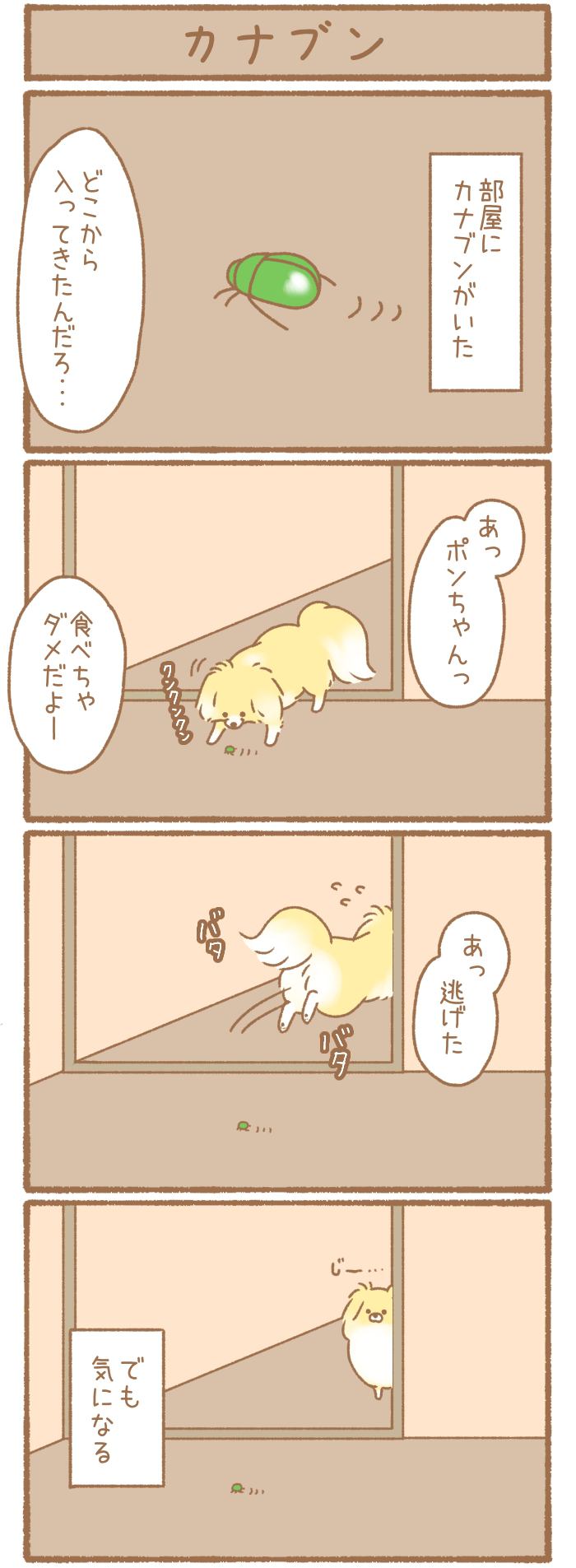 ただの犬好きです。【第169話】