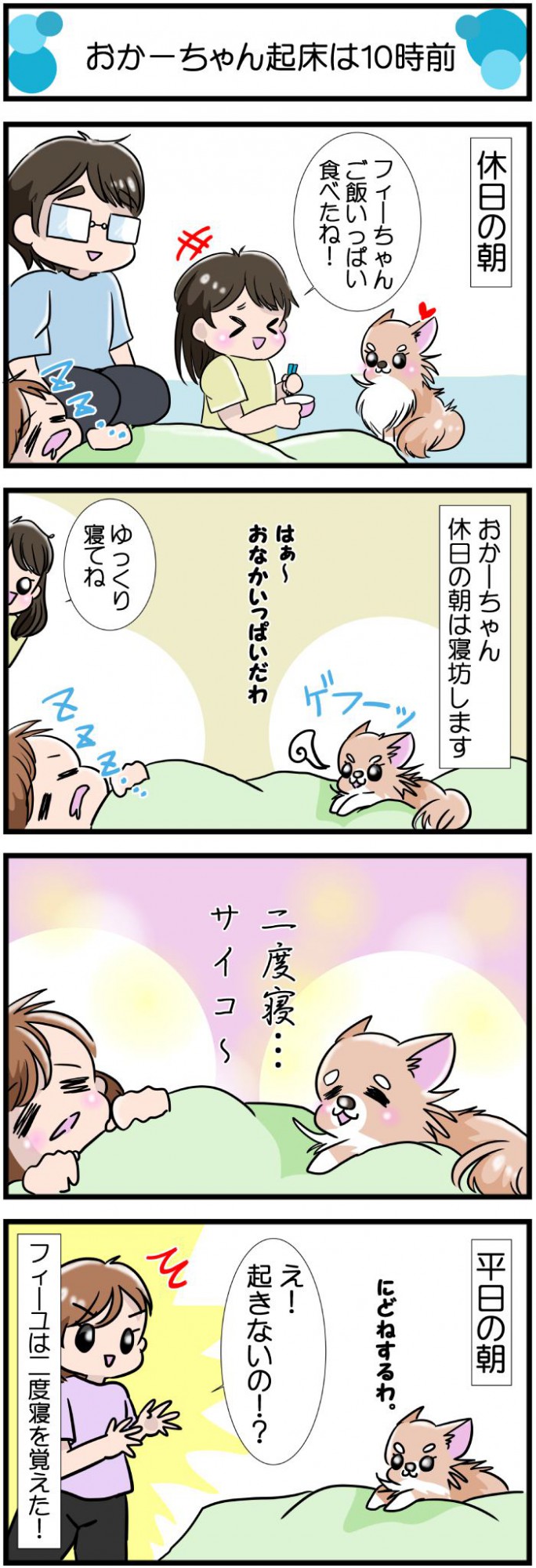 かわうそちわわ。【その572】