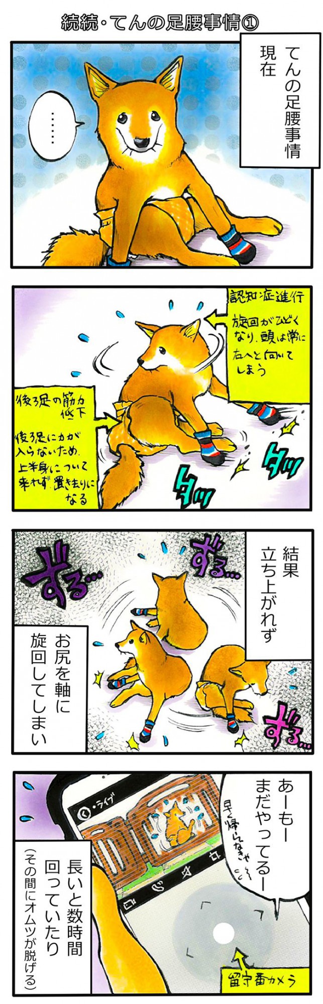 てんてこ、てん。【第67話】1