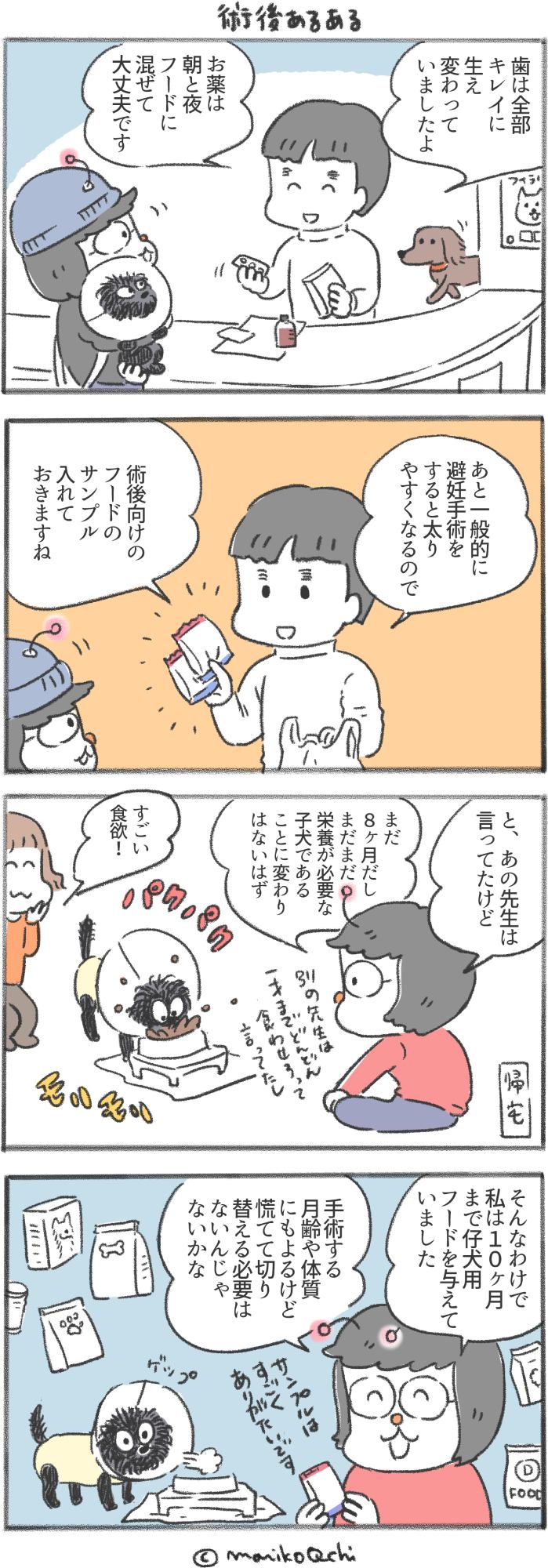 犬と暮らせば 第163話