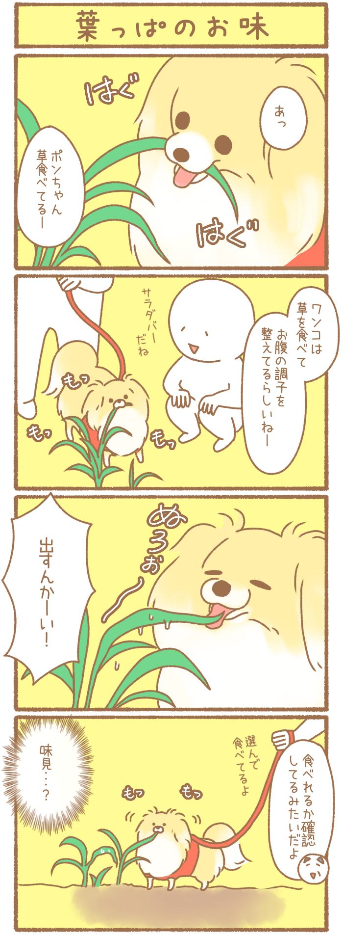 ただの犬好きです。【第166話】