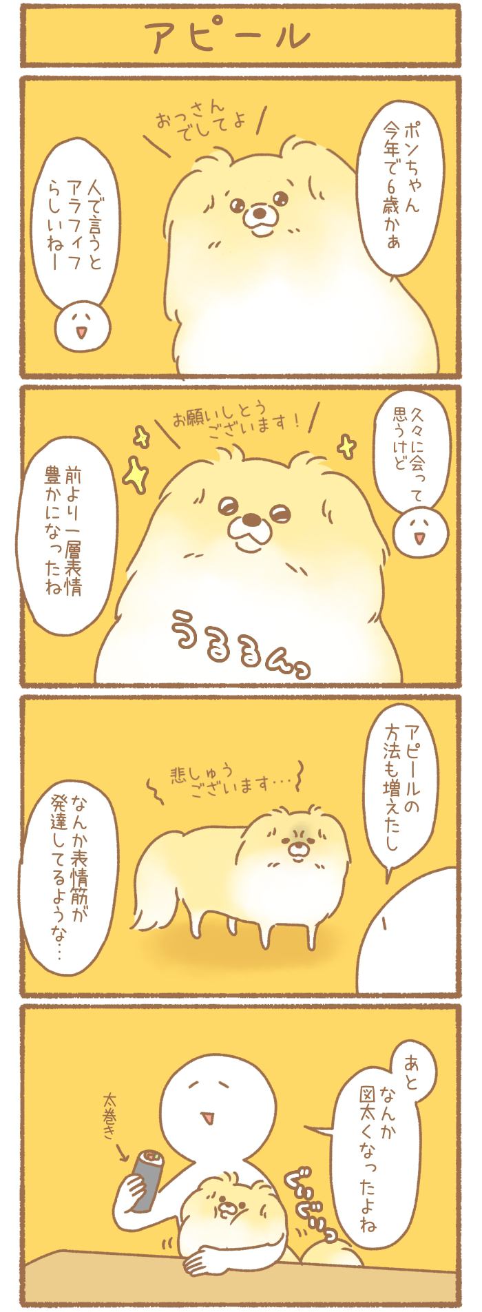 ただの犬好きです。【第197話】