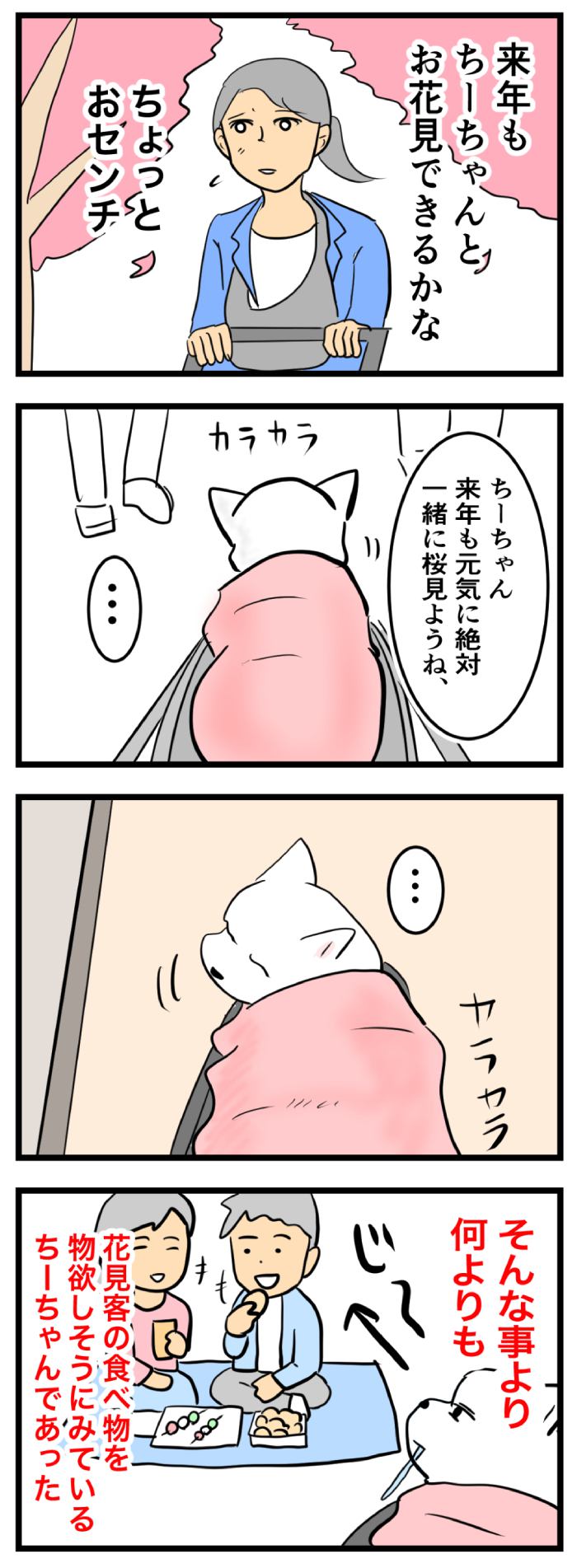 ちーちゃんですけどもっ【第251話】