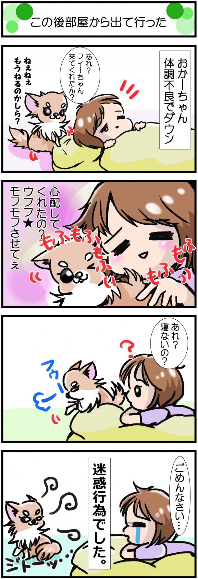 かわうそちわわ。【その393】