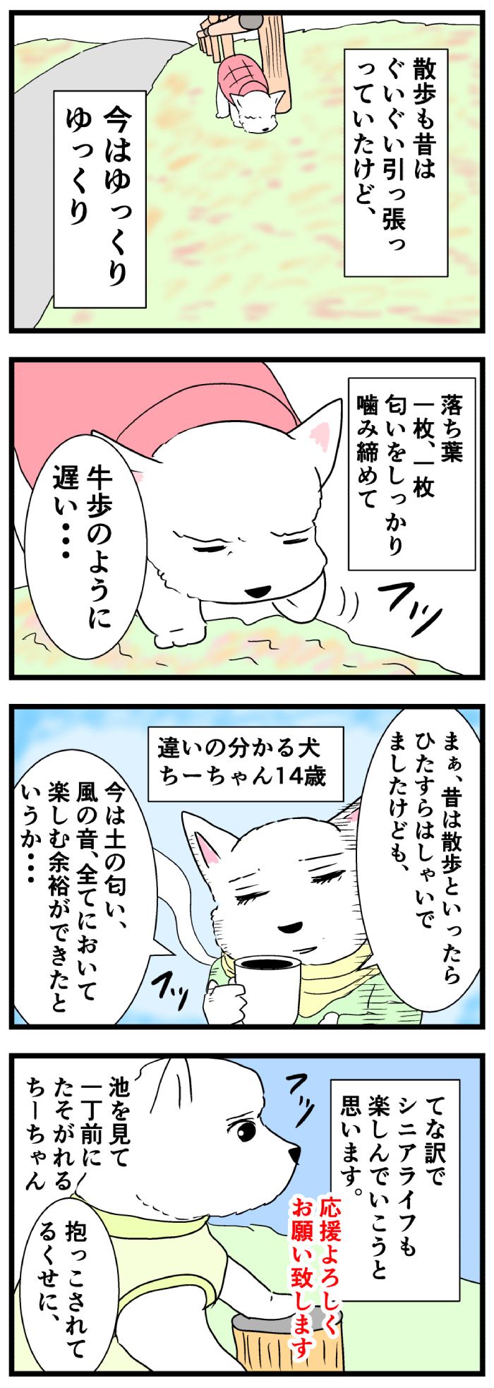 ちーちゃんですけどもっ【第187話】