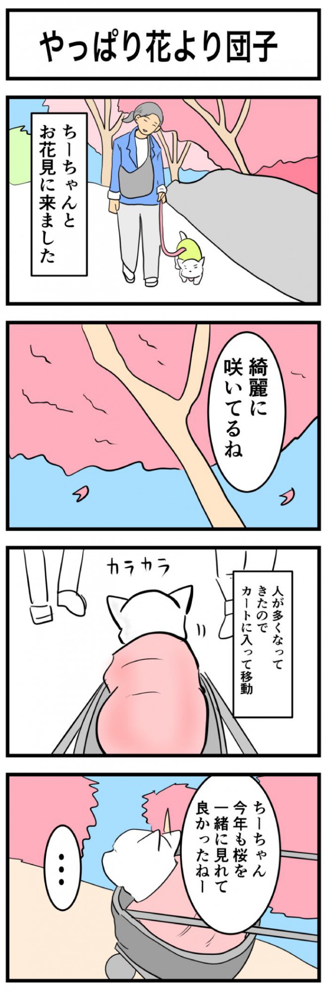 ちーちゃんですけどもっ【第251話】