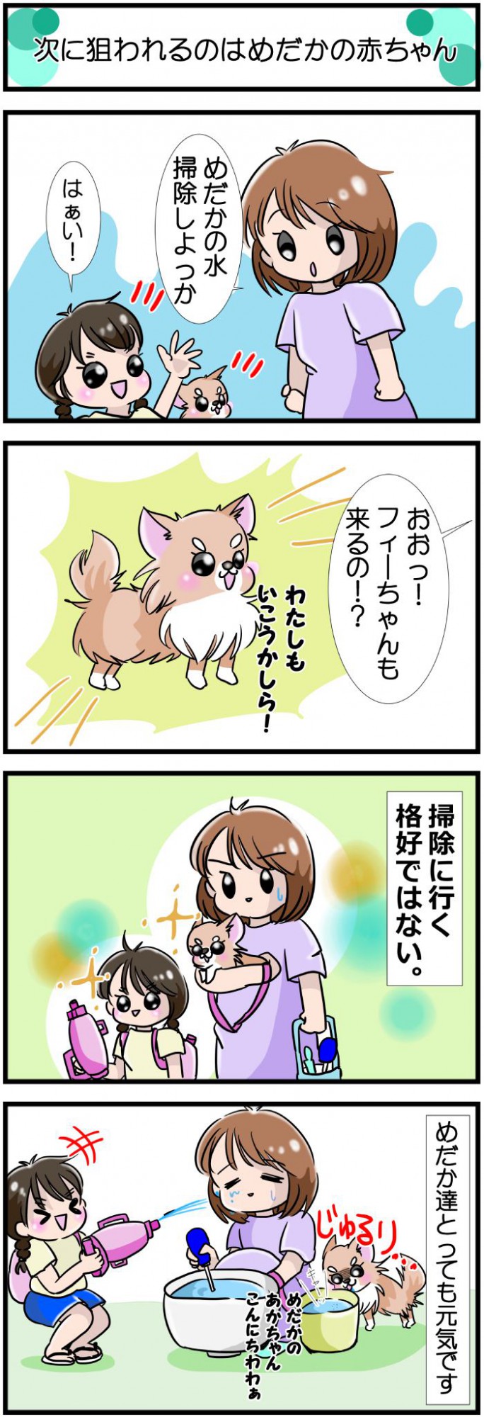 かわうそちわわ。【その496】