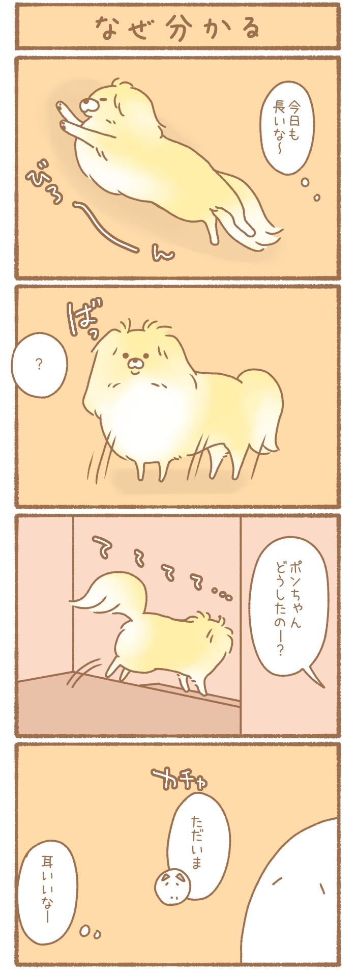 ただの犬好きです。【第212話】