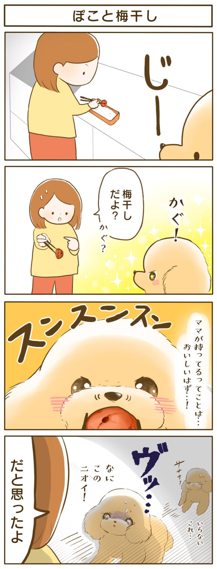 ふわふわぽこ。【第135話】