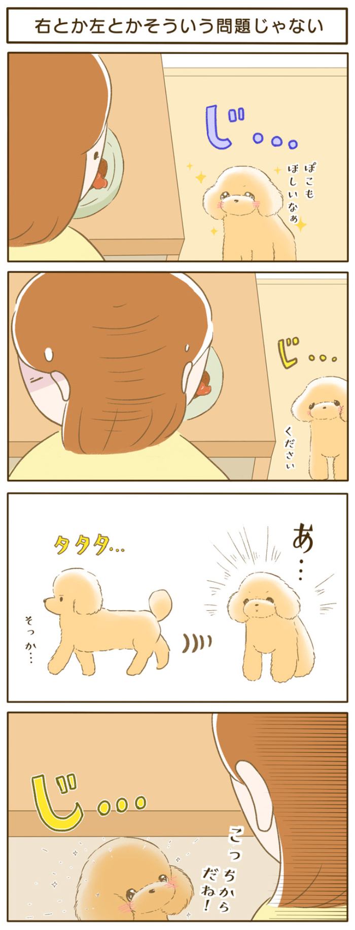 ふわふわぽこ。【第100話】