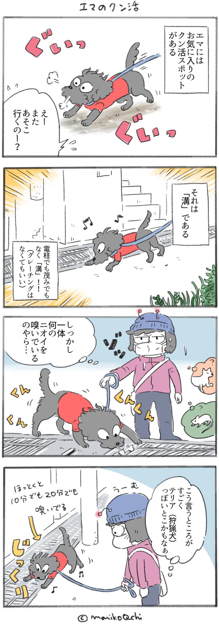 犬と暮らせば【第247話】