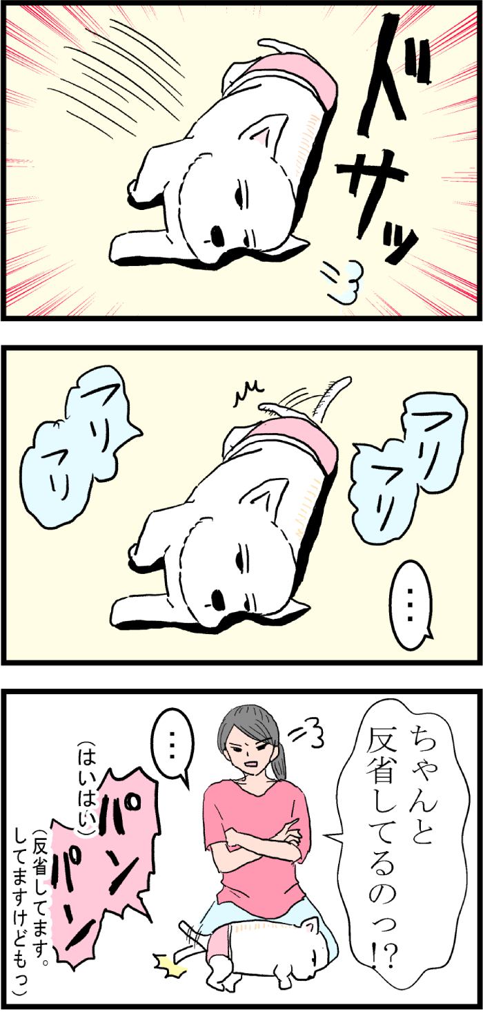 ちーちゃんですけどもっ第71話2枚目