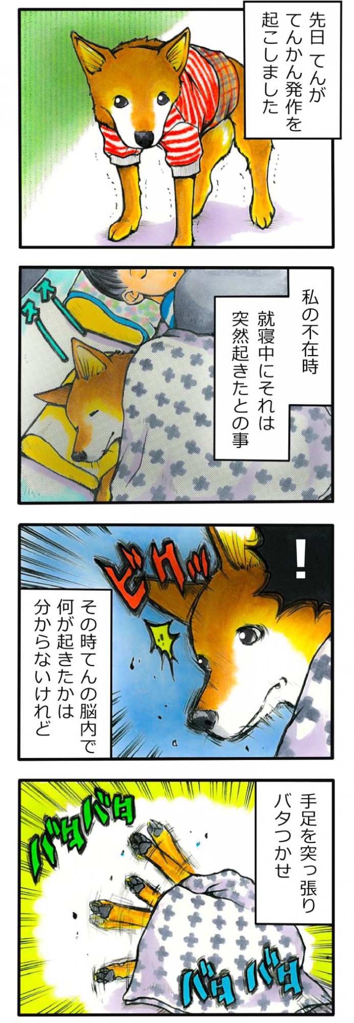 てんてこ、てん。【第78話】