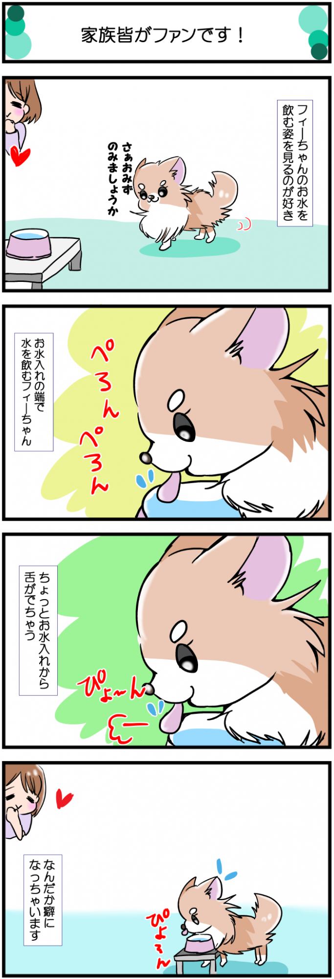 かわうそちわわ。【その561】