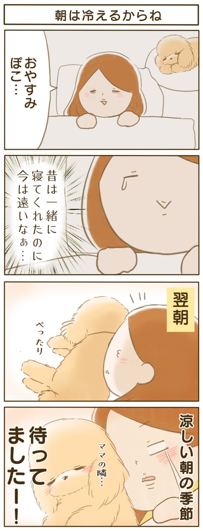 ふわふわぽこ。【第166話】