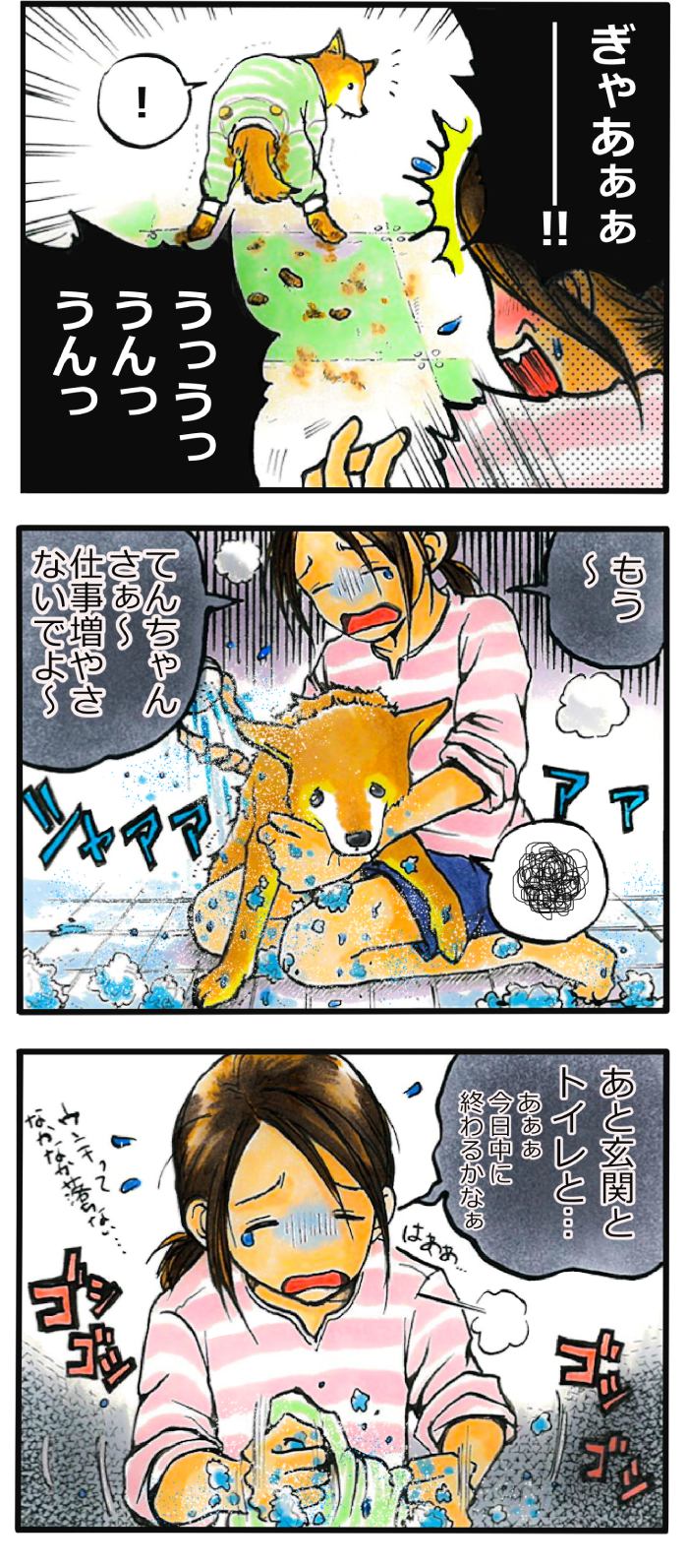 てんてこ、てん。第58話2枚目