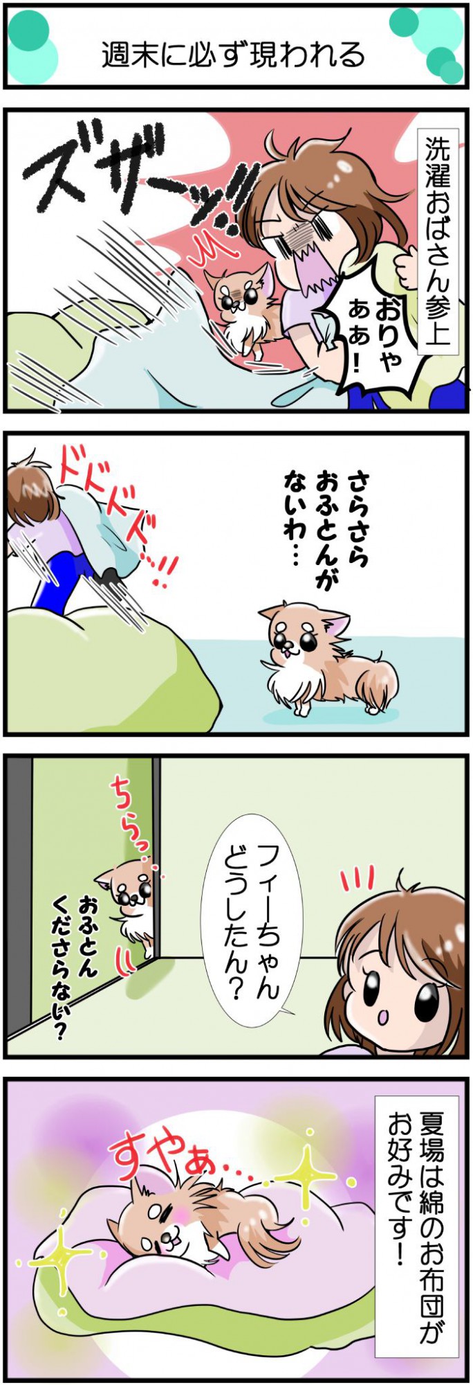 かわうそちわわ。【その481】