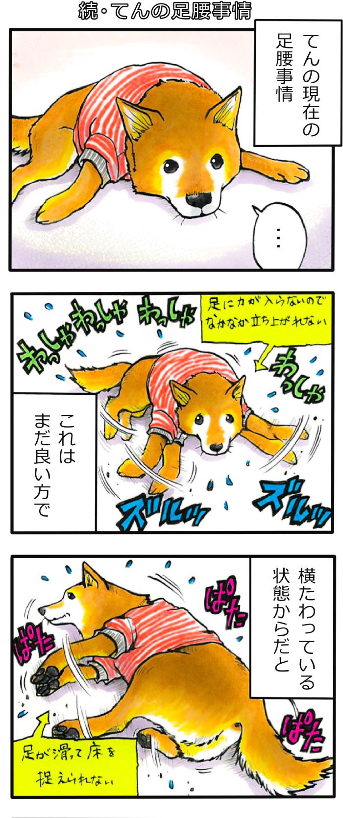 てんてこ、てん。第59話1枚目