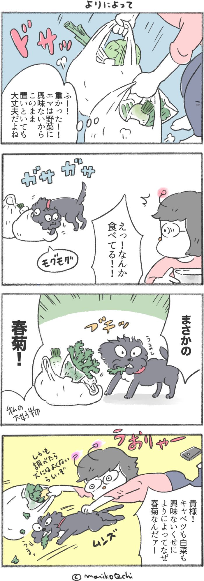 犬と暮らせば【第193話】