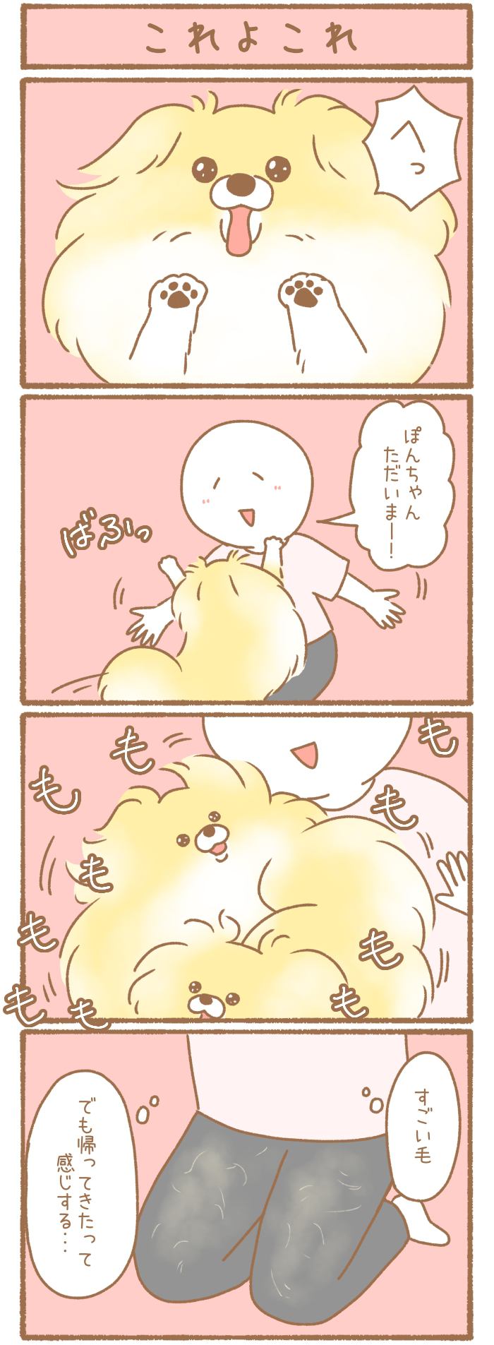 ただの犬好きです。【第258話】