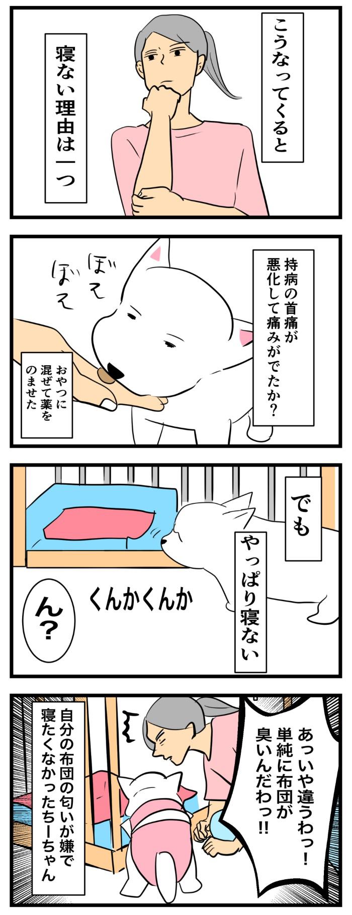 ちーちゃんですけどもっ【第221話】