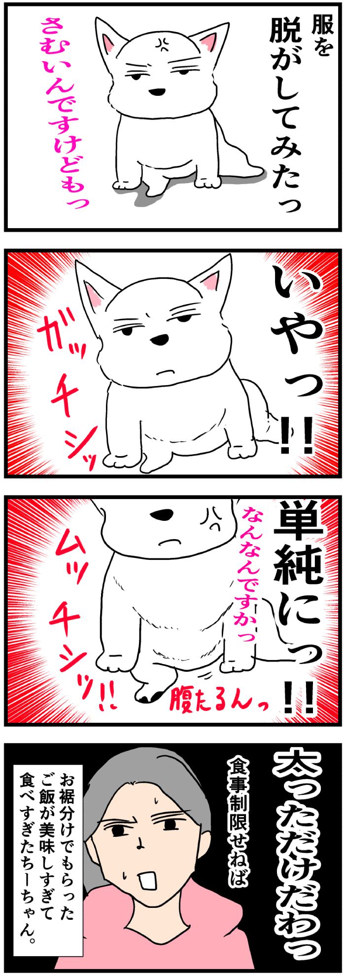 ちーちゃんですけどもっ【第193話】