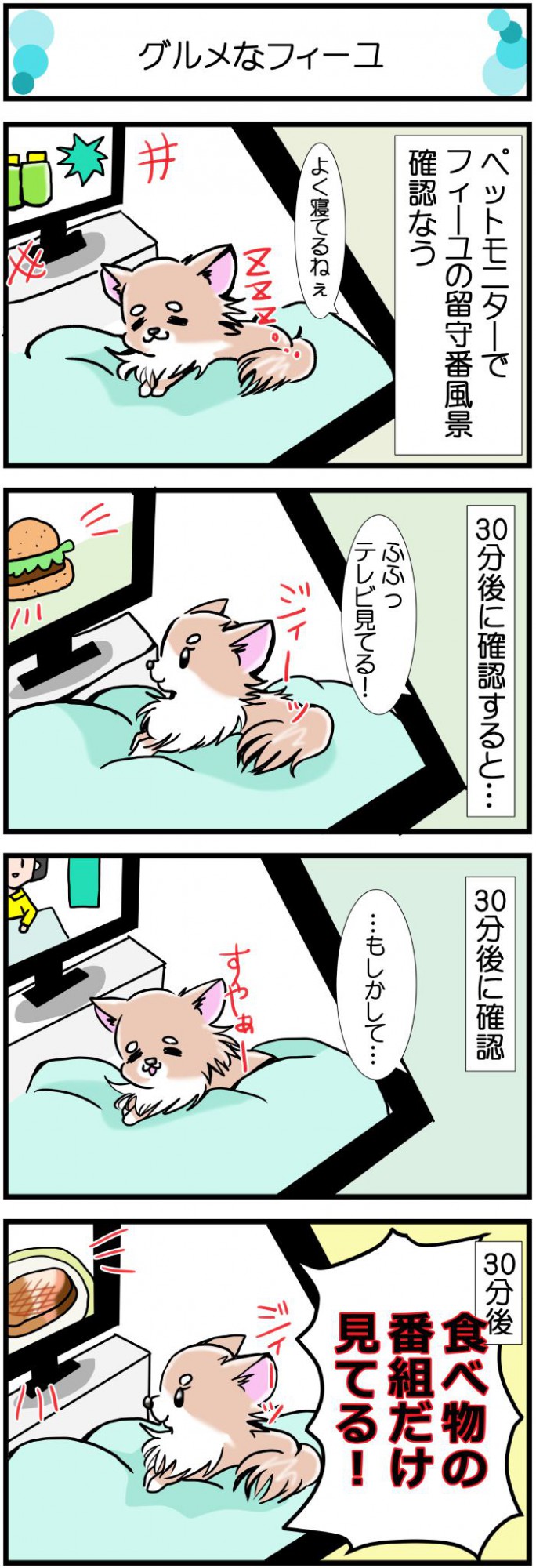 かわうそちわわ。【その364】