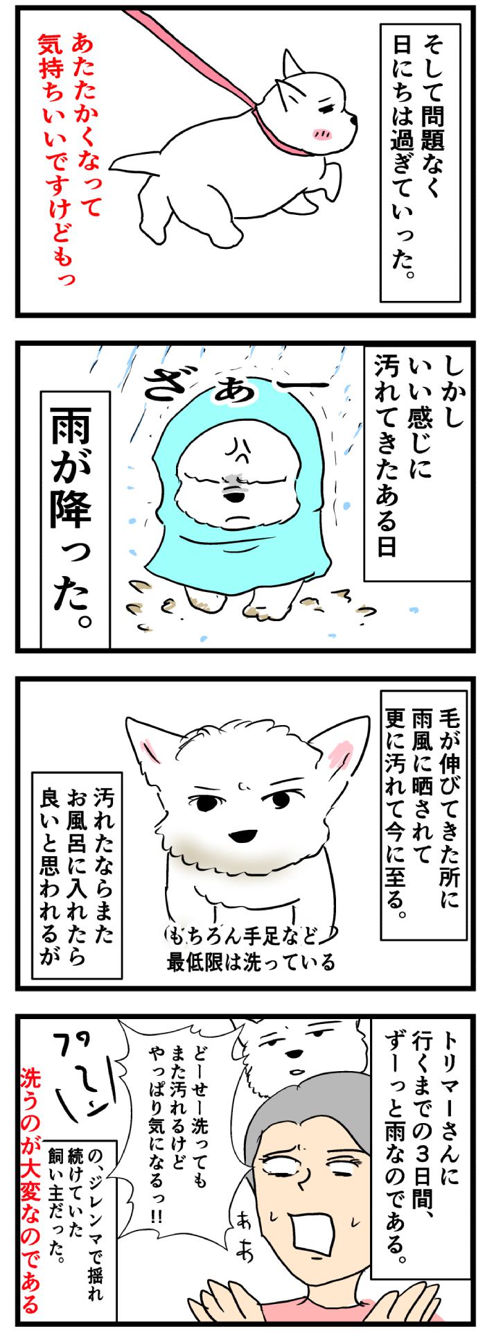 ちーちゃんですけどもっ【第198話】