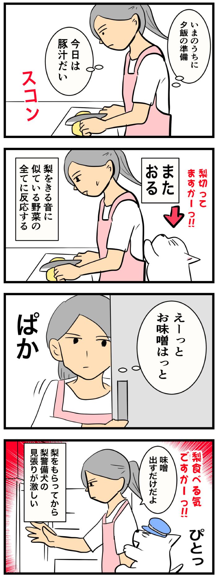 ちーちゃんですけどもっ【第225話】