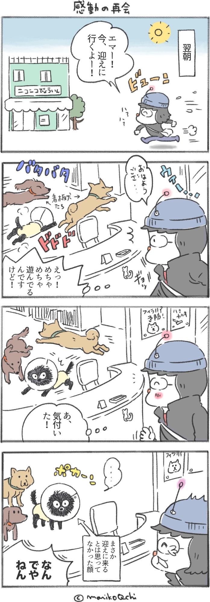 犬と暮らせば 第162話