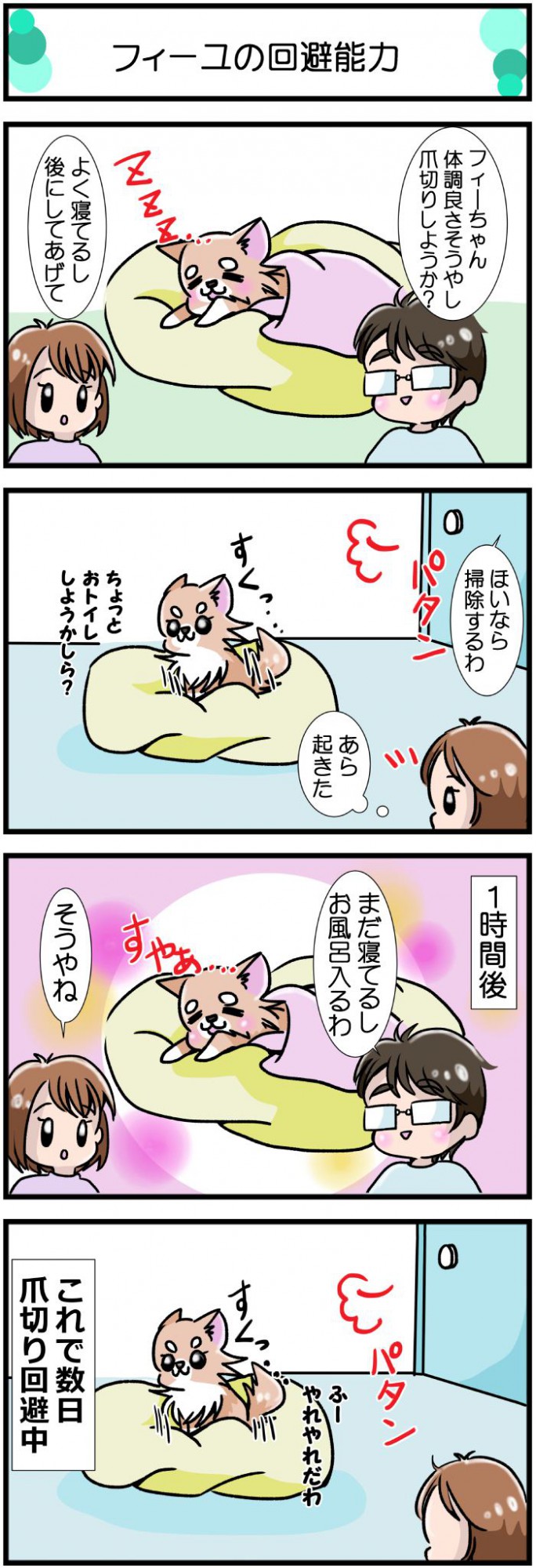 かわうそちわわ。【その433】