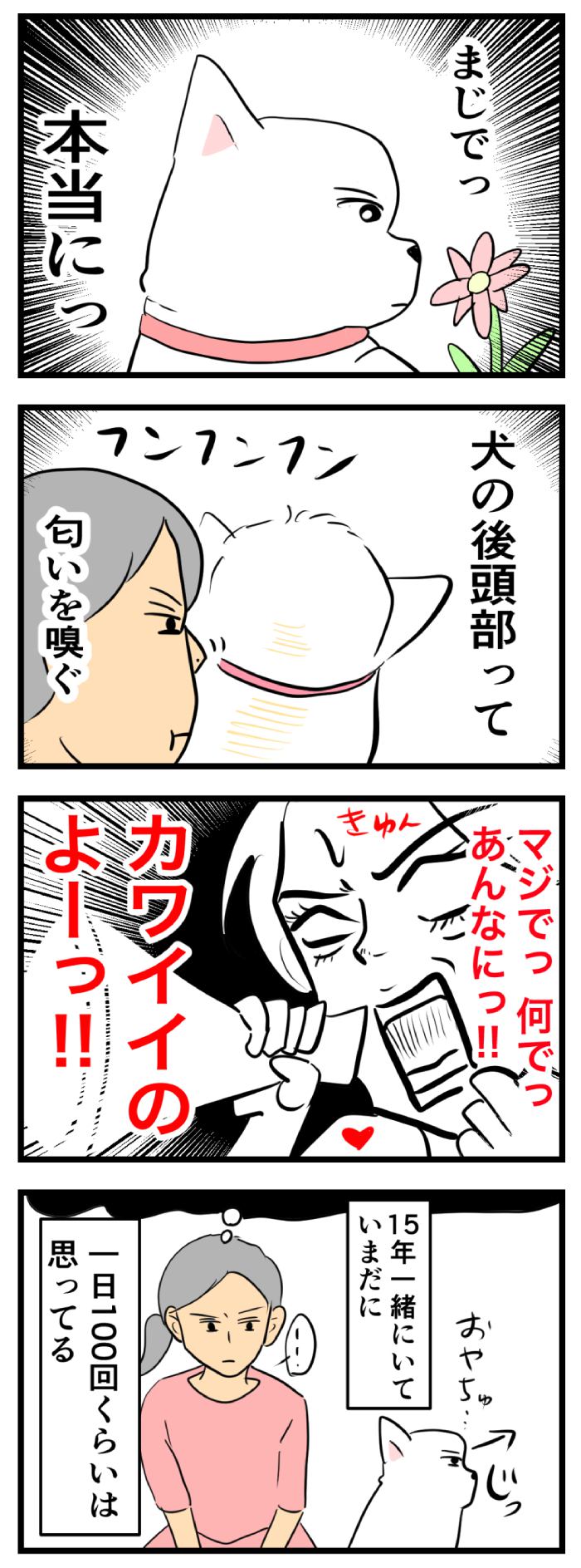 ちーちゃんですけどもっ【第250話】