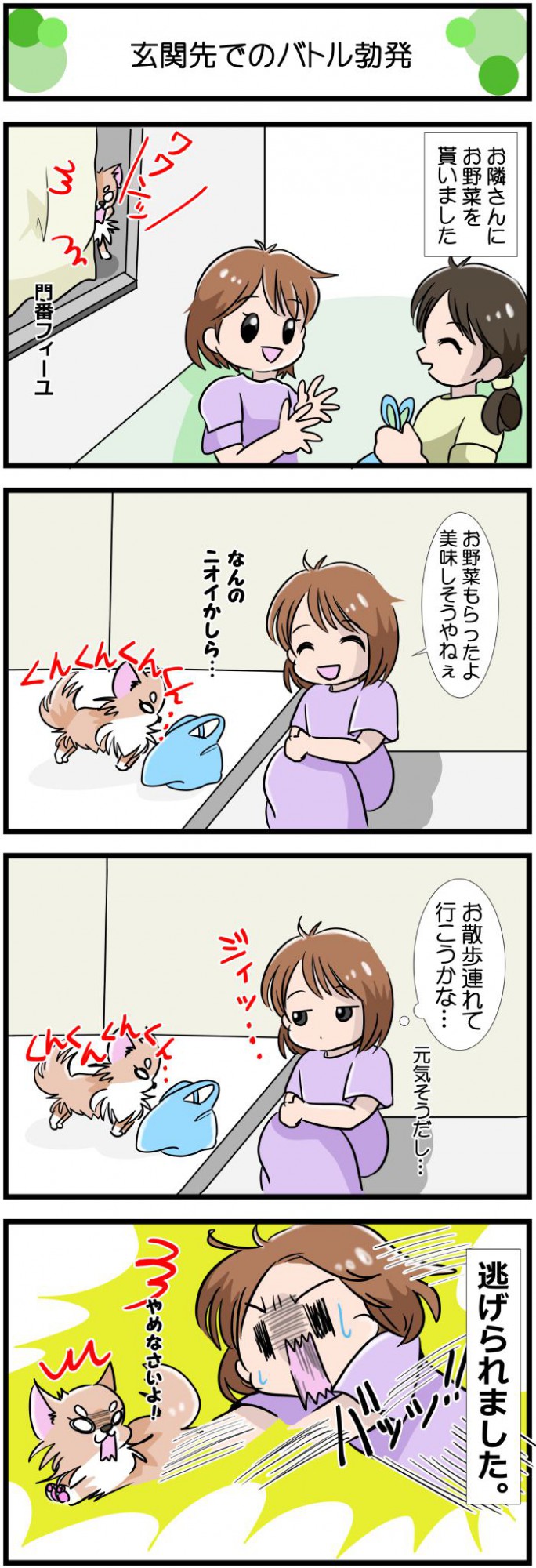 かわうそちわわ。【その556】