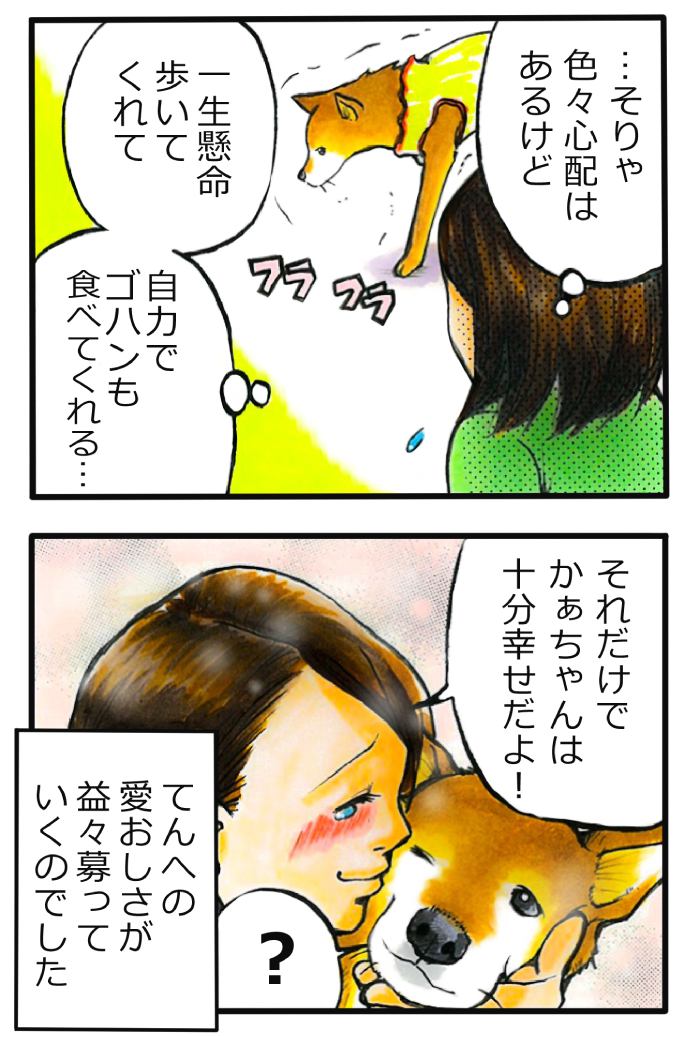 てんてこ、てん。【第76話】