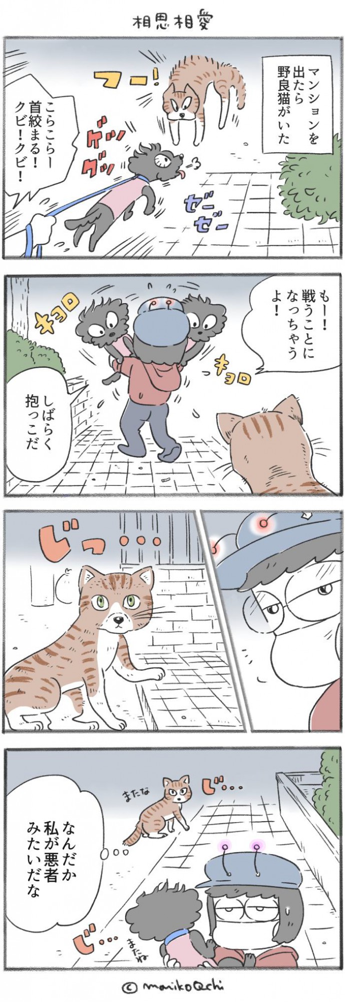 犬と暮らせば【第311話】