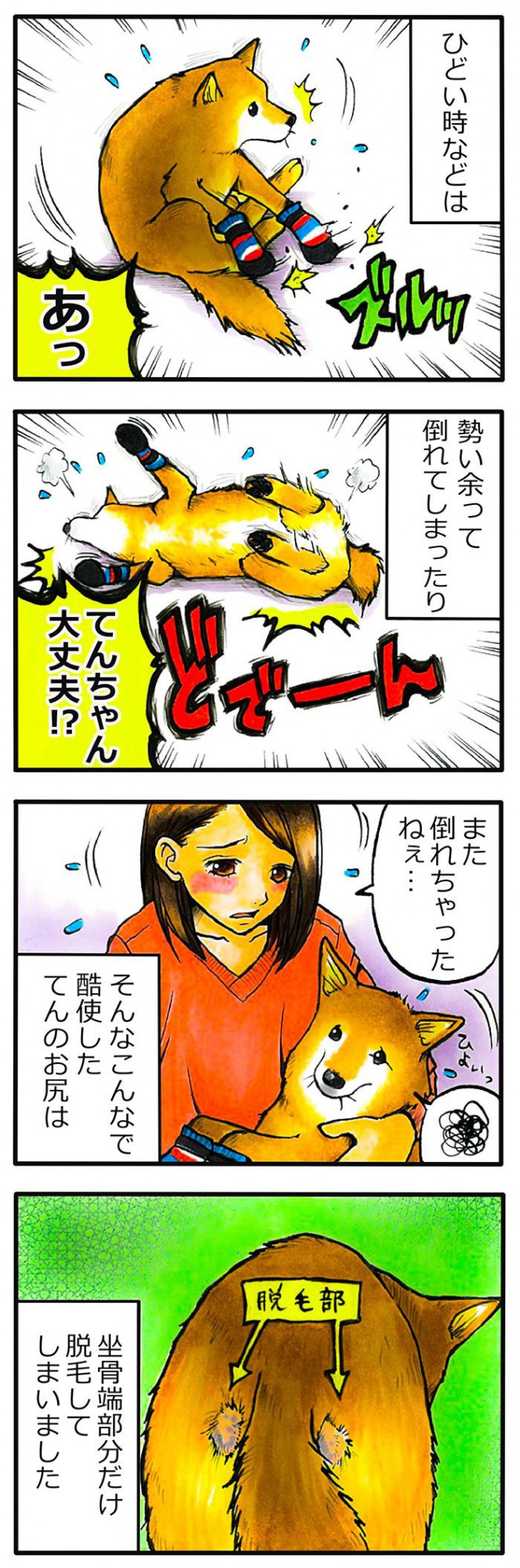 てんてこ、てん。【第67話】2