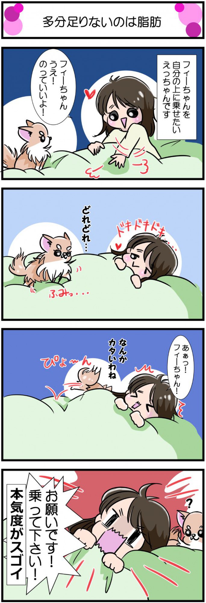 かわうそちわわ。【その579】