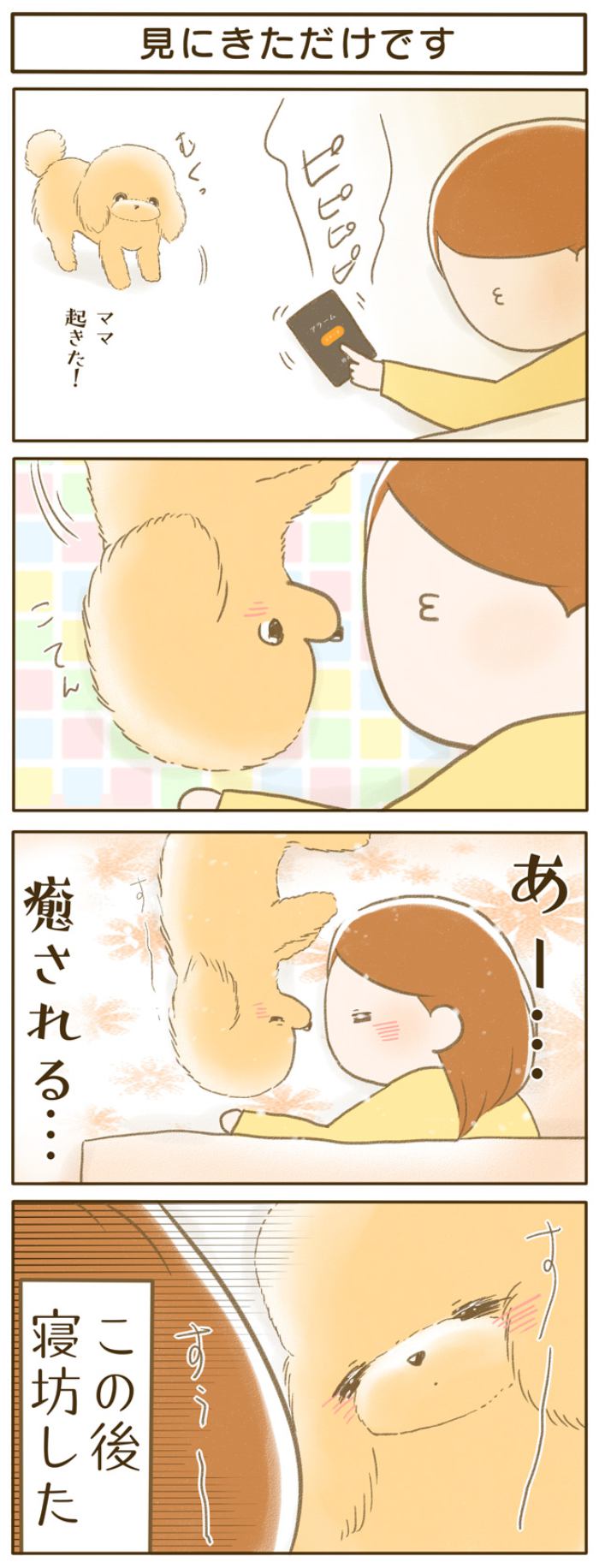 ふわふわぽこ。【第149話】