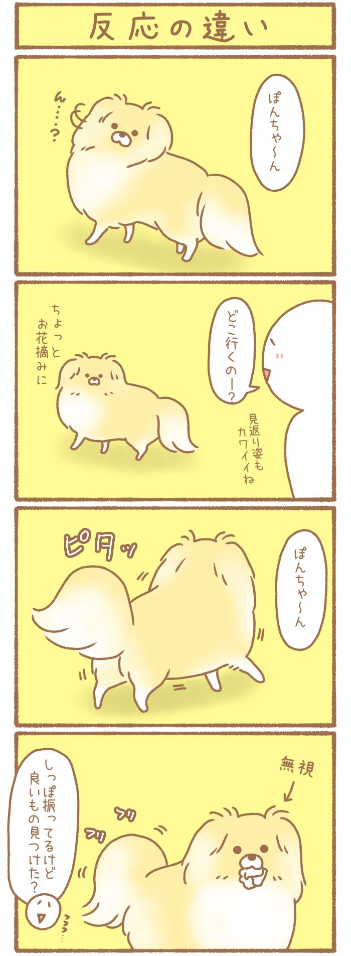 ただの犬好きです。【第210話】