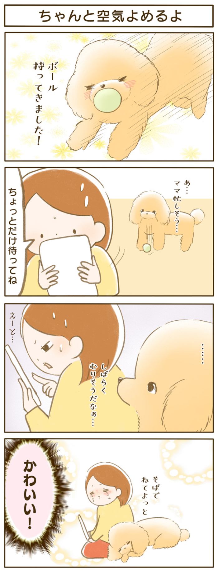 ふわふわぽこ。【第147話】