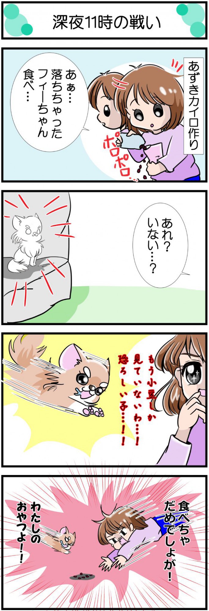 かわうそちわわ。【その527】