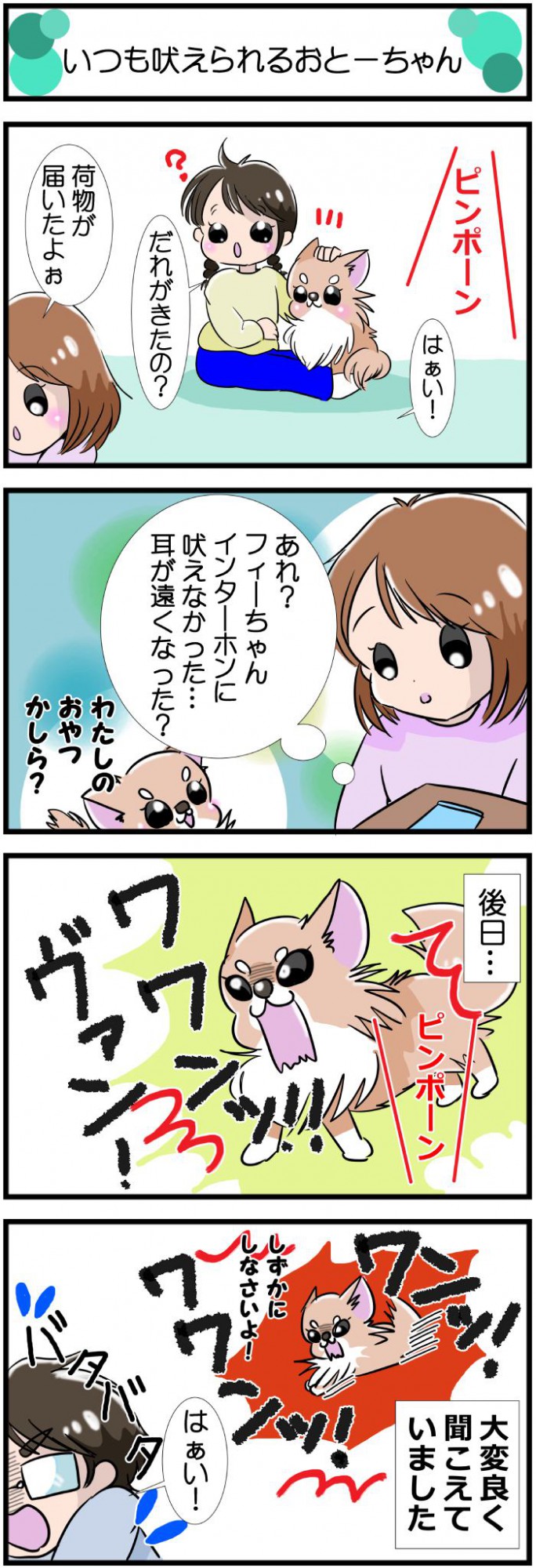 かわうそちわわ。【その539】