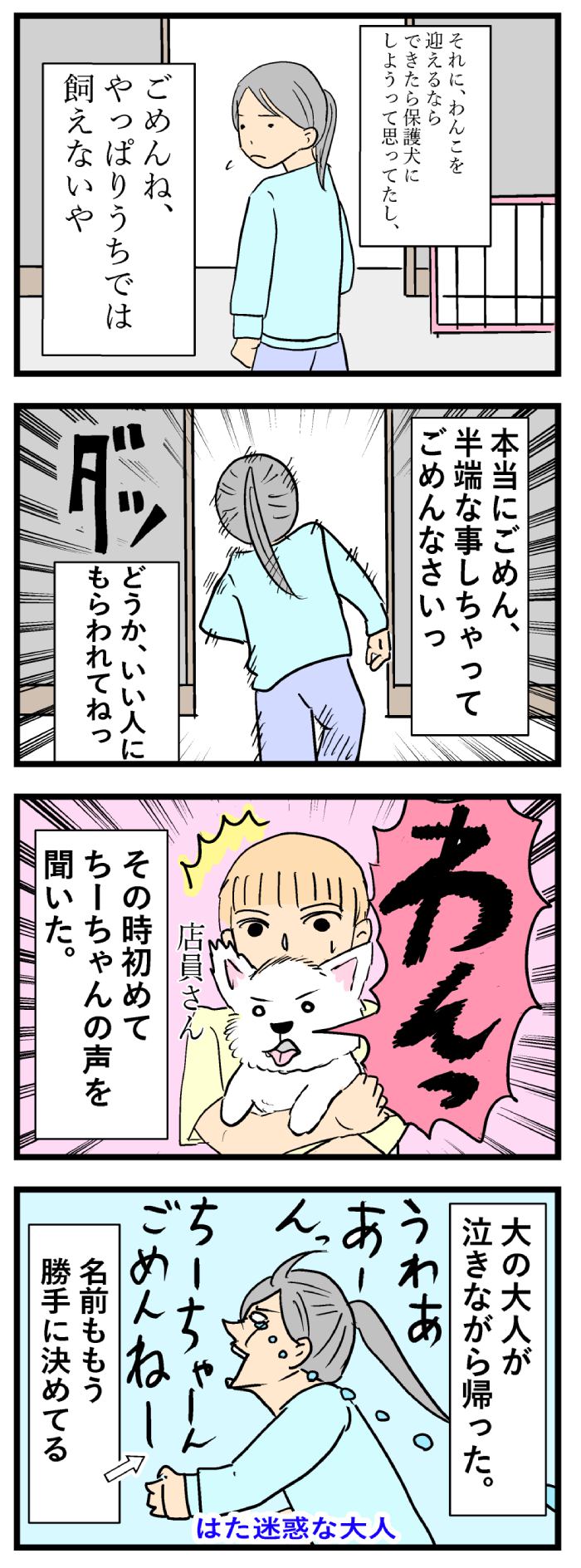 ちーちゃんですけどもっ【第101話】