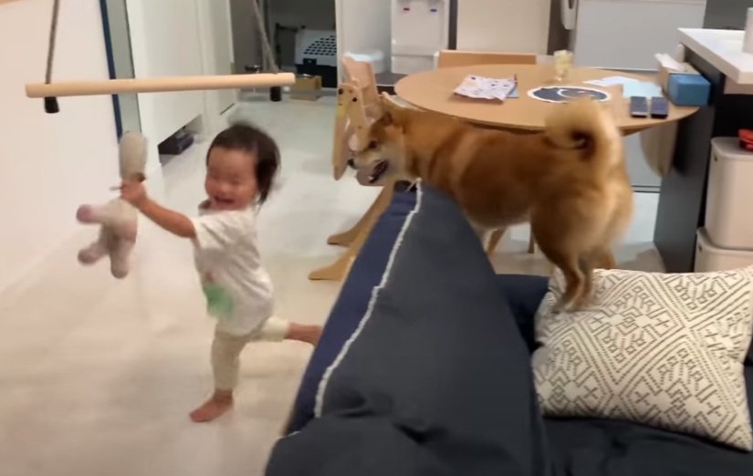 追いかける花子さん