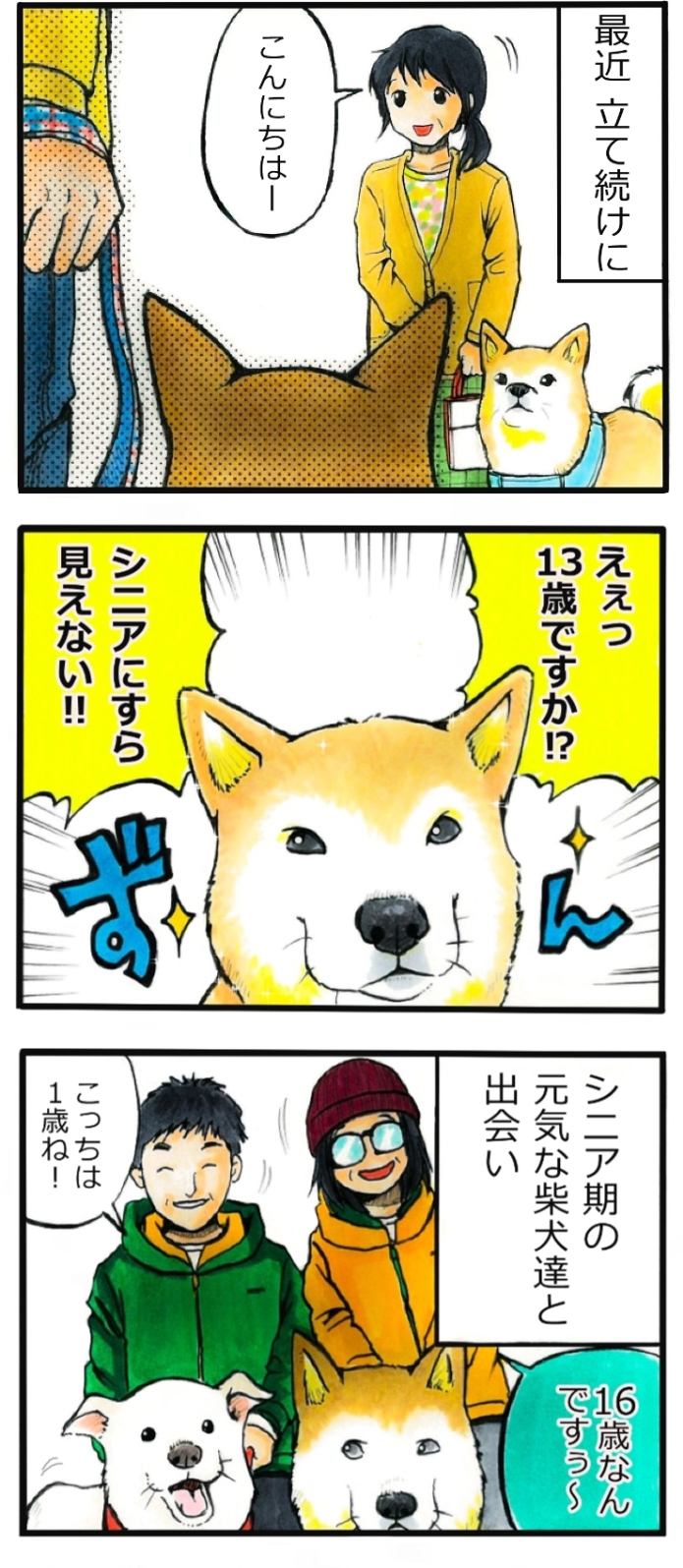 てんてこ、てん。第38話2枚目