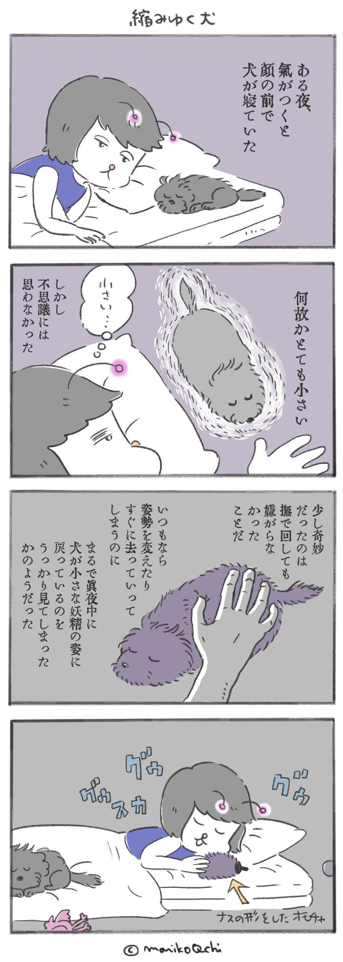 犬と暮らせば【第218話】