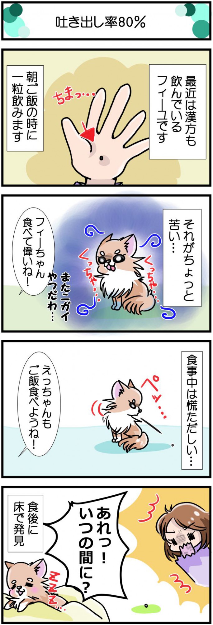 かわうそちわわ。【その455】