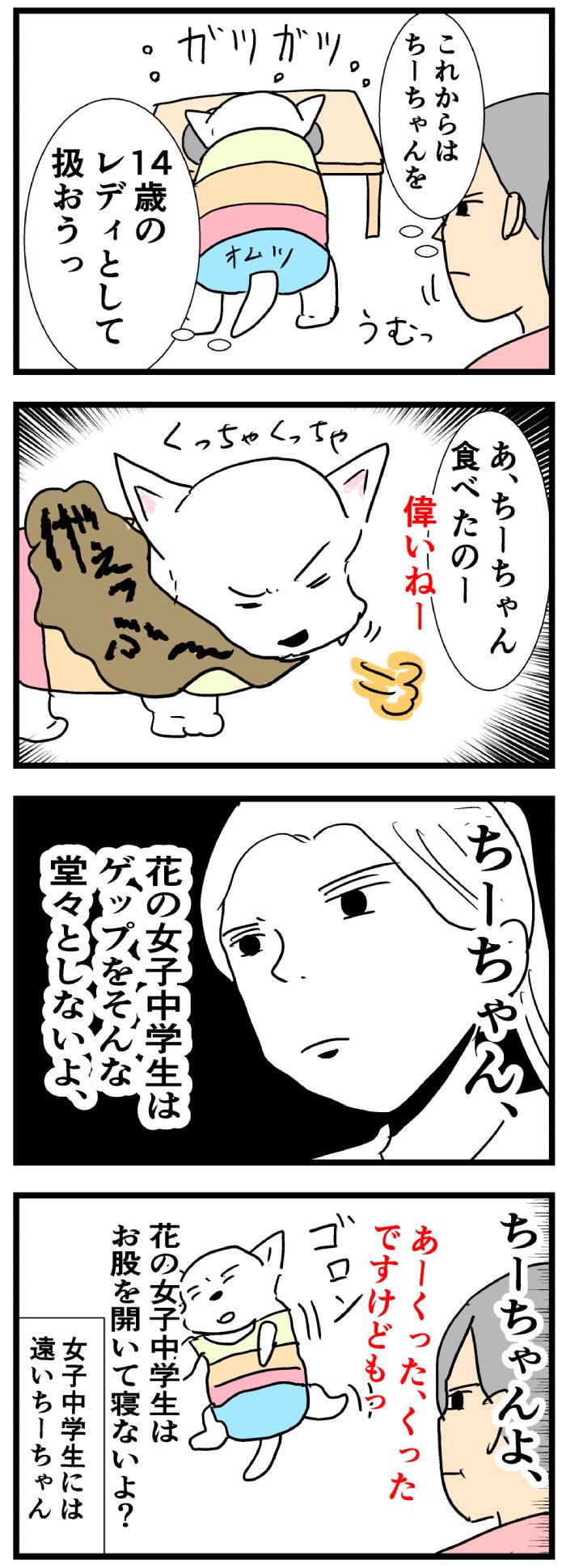 ちーちゃんですけどもっ【第191話】