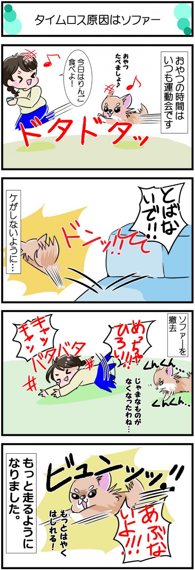 かわうそちわわ。【その589】