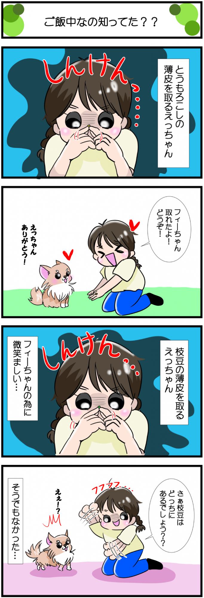 かわうそちわわ。【その560】